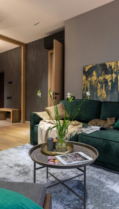 pexels-heyho-6580416